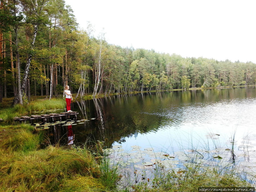 2014. Довелось побывать 2014. Довелось побывать