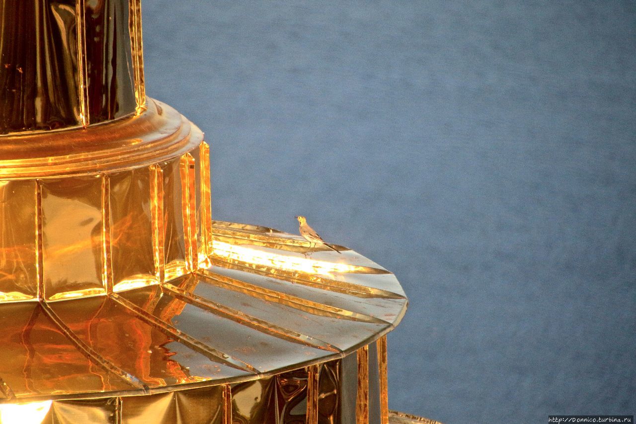 Колокольня Богоявленского собора Ниловой пустыни Светлица (Нило-Столбенская пустынь), Россия