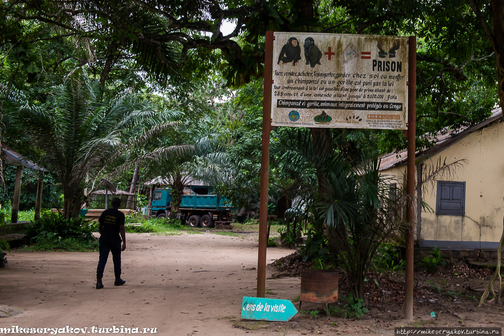 Зоопарк Браззавилля Браззавиль, Республика Конго