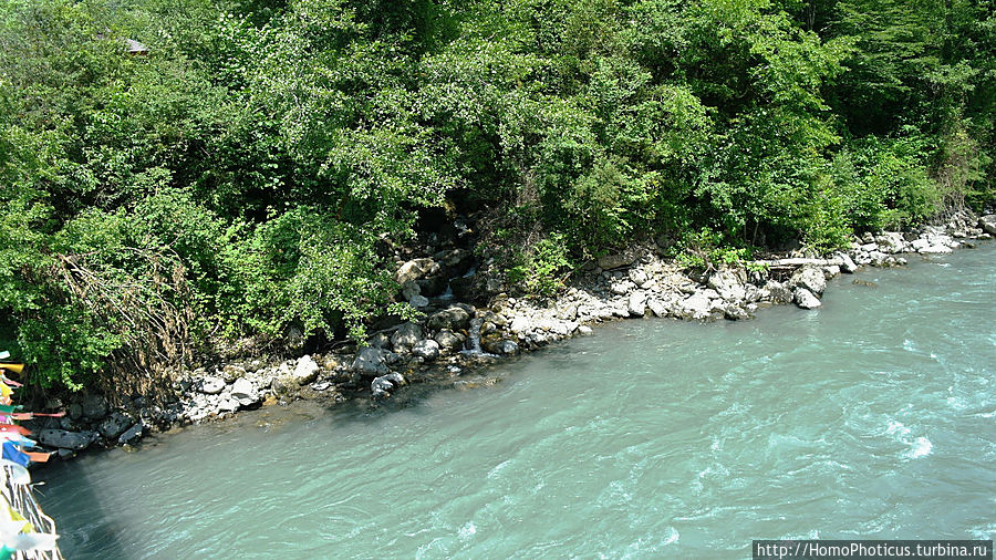 Бзыбь Бзыбь