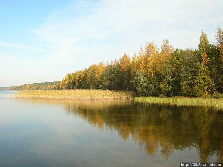 Золотой осенью на Кончезере Кончезеро, Россия