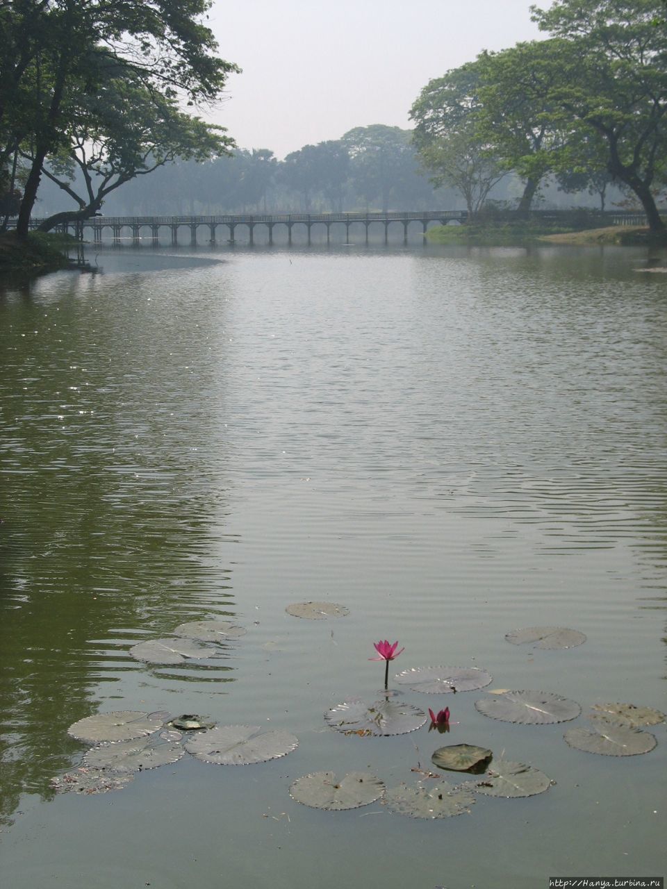 Озеро Kandawgyi Lake в Янгуне Янгон, Мьянма