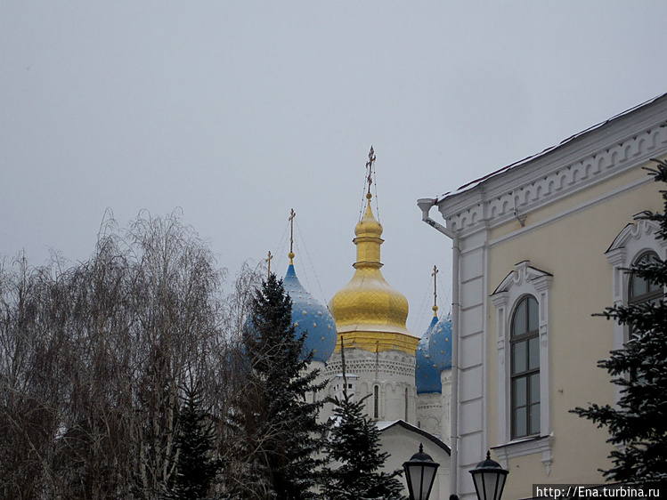 Купола Благовещенского со