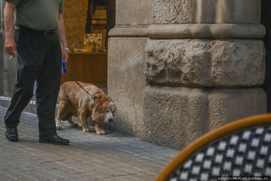 Стрит из кафе Барселона, Испания
