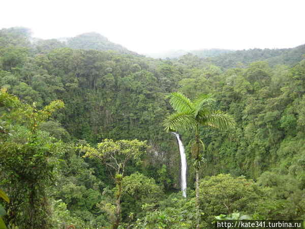 У подножия Ареналя. Облачный лес и комната номер Ноль Фортуна, Коста-Рика