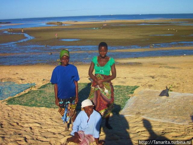 Не доверяйте мозамбикцам свою жизнь Бейра, Мозамбик