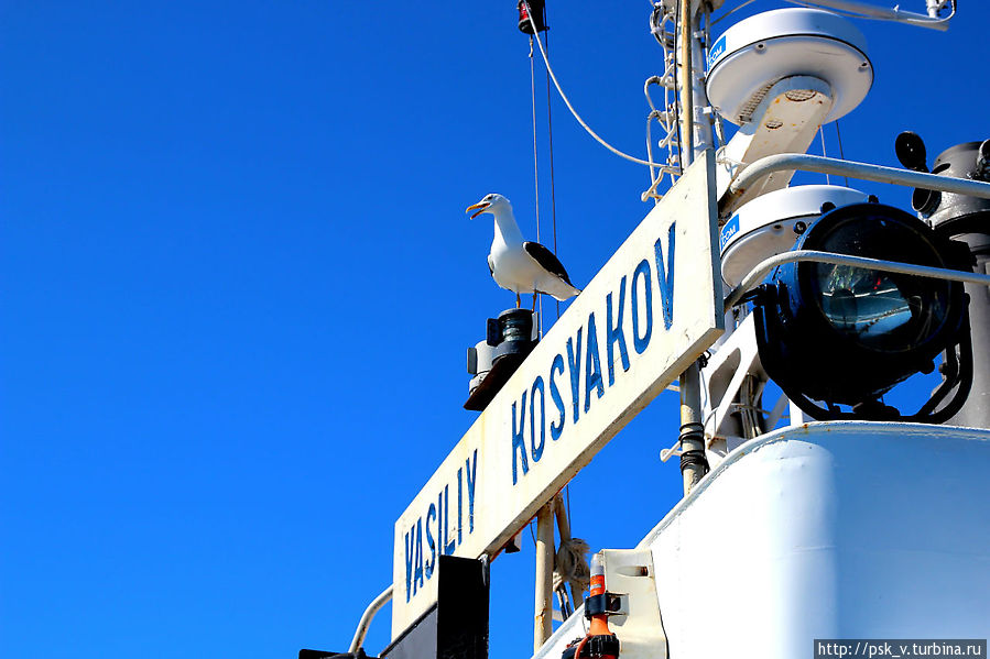 Васька Косяков Кемь, Россия Васька Косяков Кемь, Россия