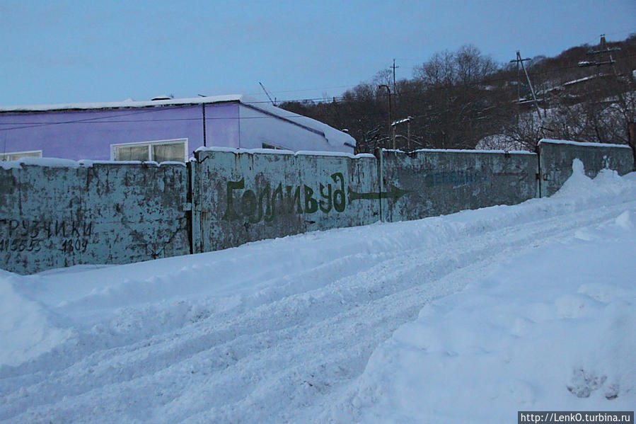 В гости к сивучам! Петропавловск-Камчатский, Россия