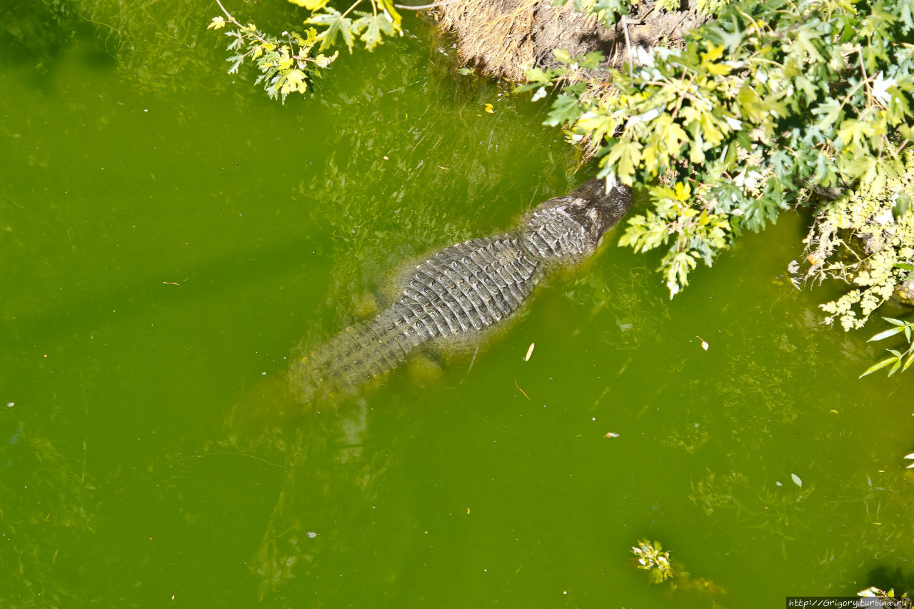 Зоопарк в SOUTHWICK, MA Саусвик, CША Зоопарк в SOUTHWICK, MA Саусвик, CША