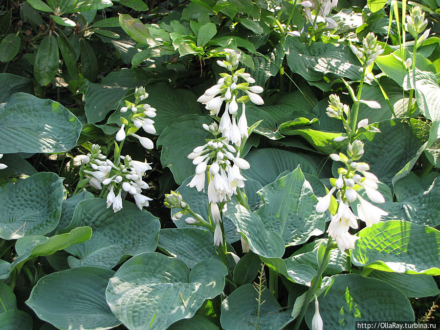 На полдня в Котку Котка, Финляндия На полдня в Котку Котка, Финляндия