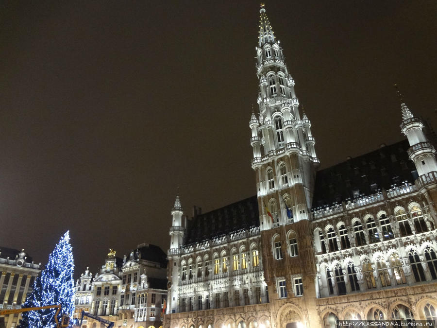 Рождественская елка на площади Гран-Пляс Брюссель, Бельгия
