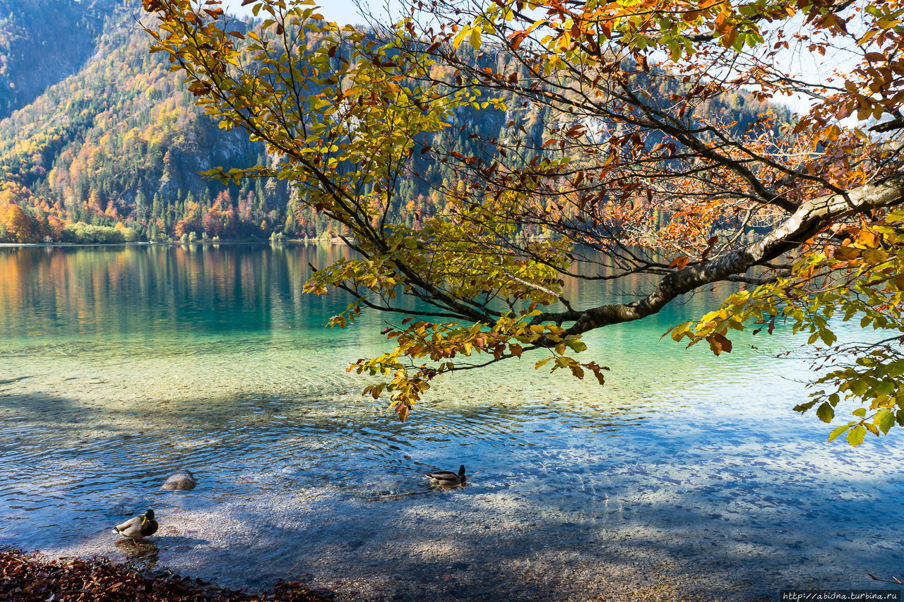 Маленькое, но очень красивое озеро Оффензее Озеро Оффензее, Австрия