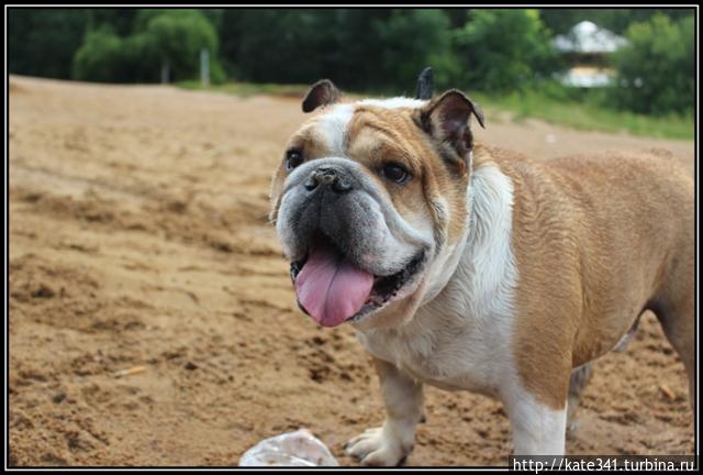Мои путешественные итоги 2013 года Мои путешественные итоги 2013 года