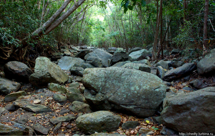Тропинки в джунглях. Баттери Гат Крус-Бей, Виргинские острова