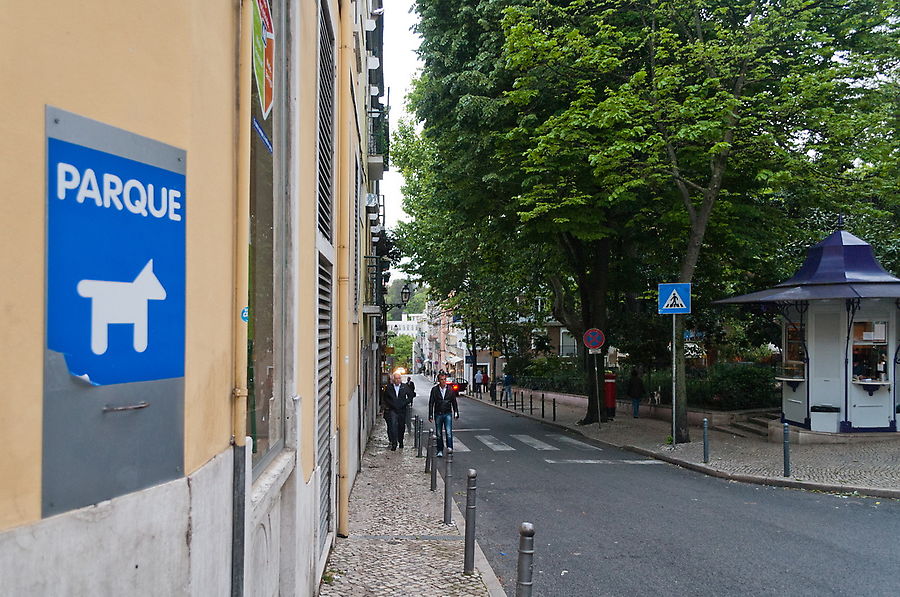 Парковка для собачек. Парковка для собачек.