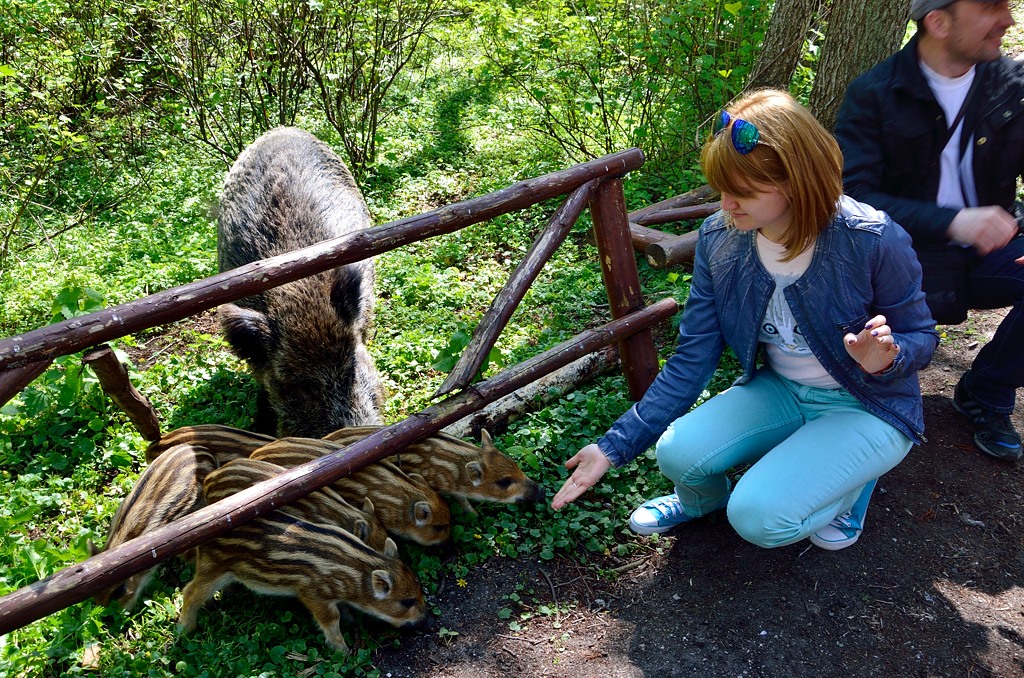 Ж Куршская Коса Национальный Парк, Россия