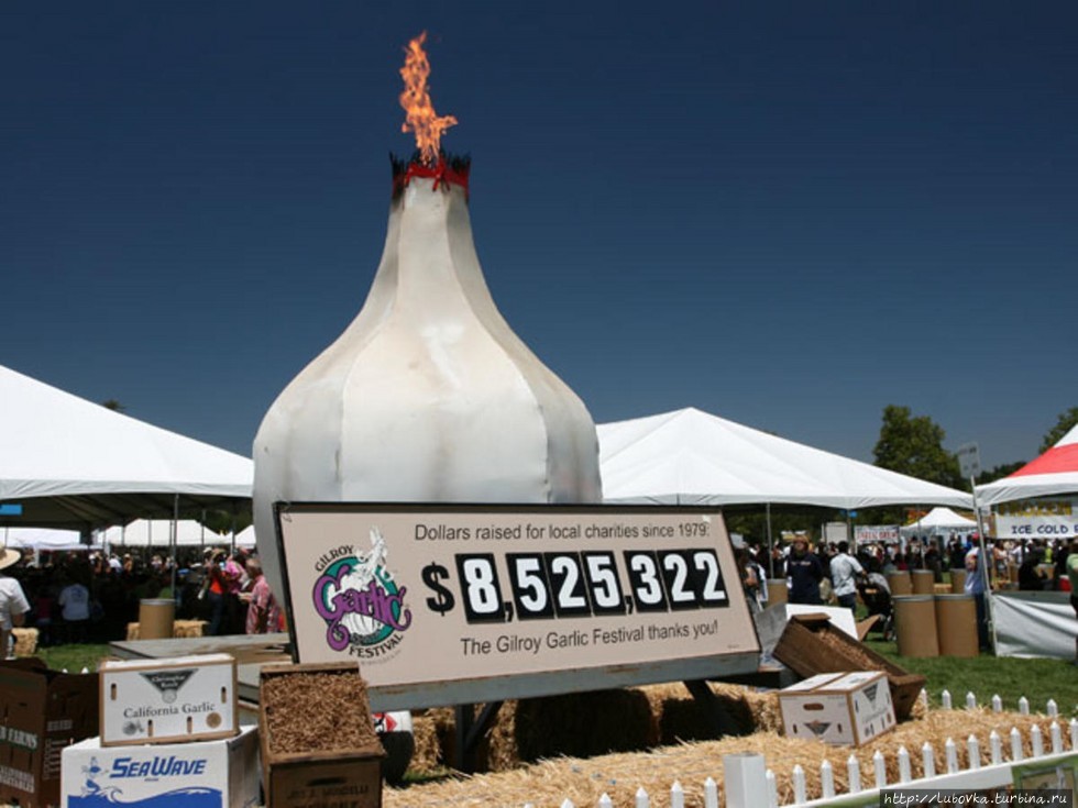 Чеснок — быть или не быть Рига, Латвия Чеснок — быть или не быть Рига, Латвия