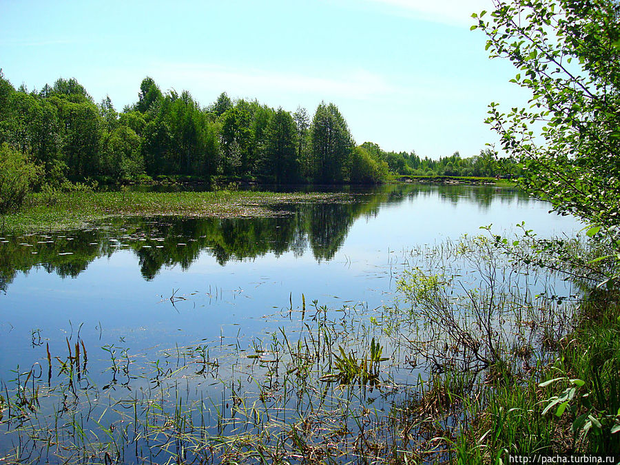 Беларусь фрагменты и зарисовки матушки природы Борисов, Беларусь Беларусь фрагменты и зарисовки матушки природы Борисов, Беларусь