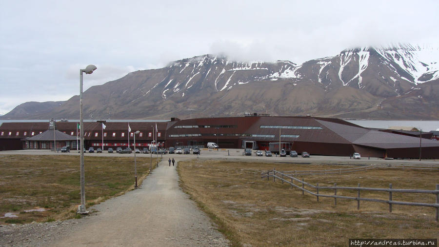 Университет Лонгийербюен, Свальбард
