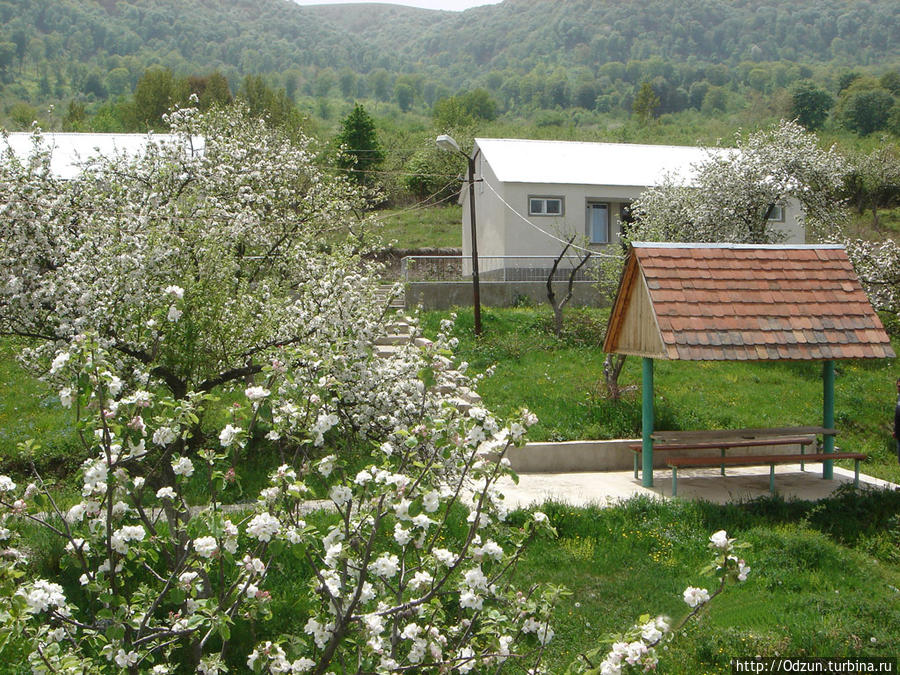 Цветут яблони...красота неописуемая.. Одзун, Армения