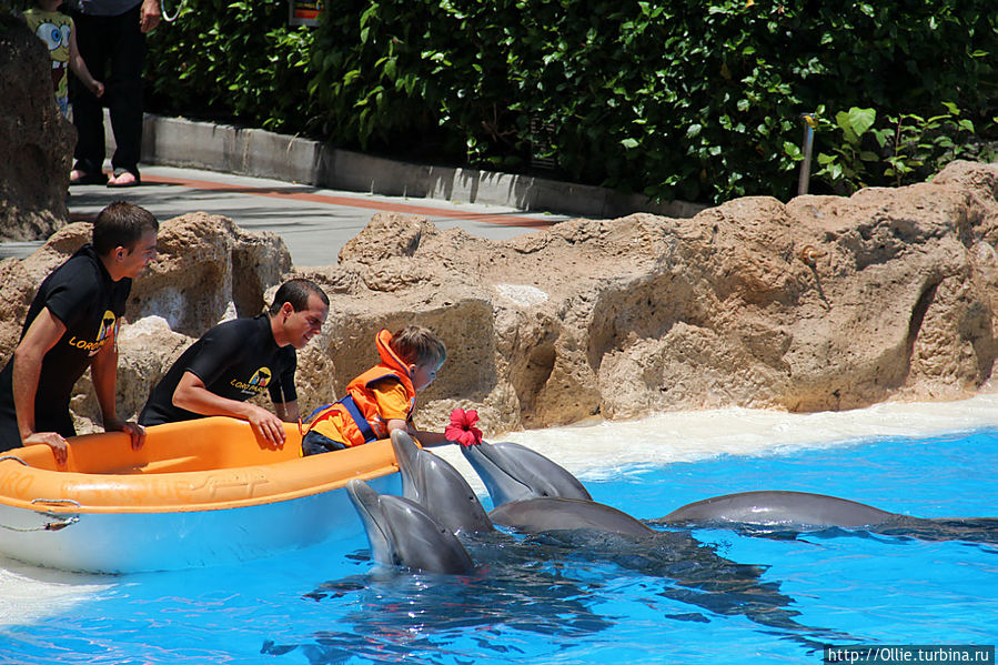 С Днем Рождения Лоро! Канарские острова, Испания С Днем Рождения Лоро! Канарские острова, Испания