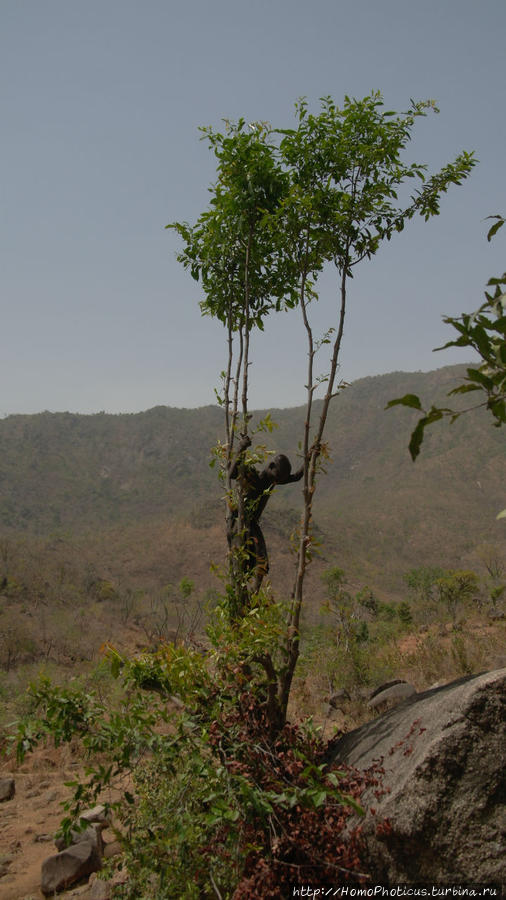Селение кома в безбожных горах Тчамба, Камерун