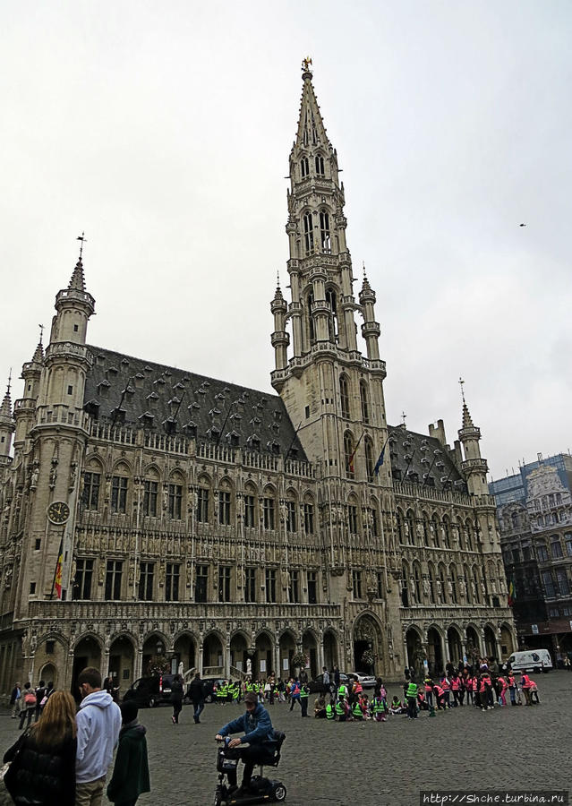 La Grand-Place Брюссель, Бельгия