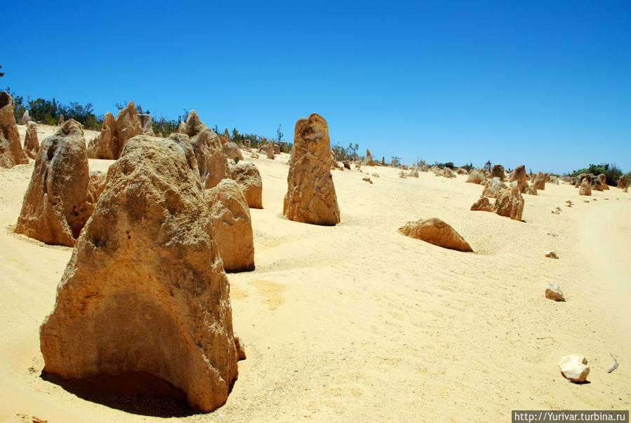 Австралия – страна Down Under (наоборот). Пустыня Pinnacles Намбунг Национальный Парк, Австралия