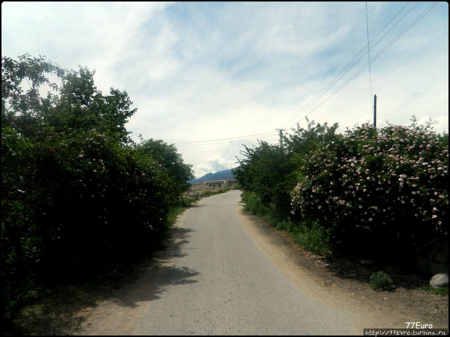 дорога к петроглифам Чолпон-Ата, Киргизия