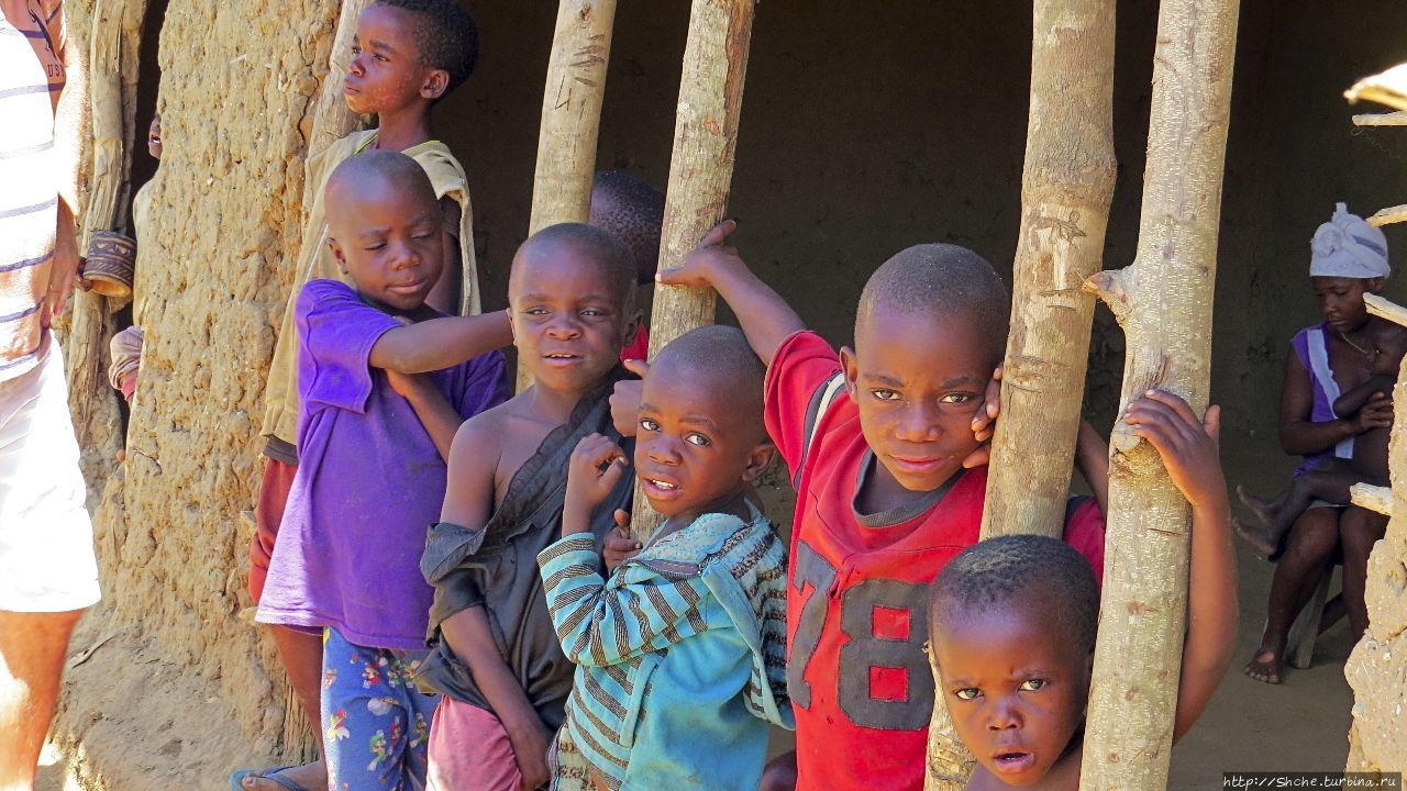 Деревня пигмеев Букванга, Уганда