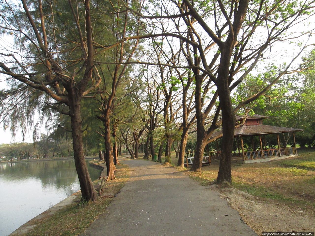 Парк у реки Баго Янгон, Мьянма