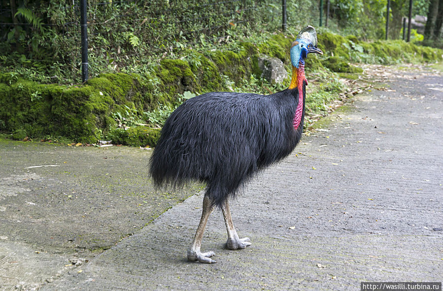 Дружить не захотел и демонстративно ушёл. Дружить не захотел и демонстративно ушёл.