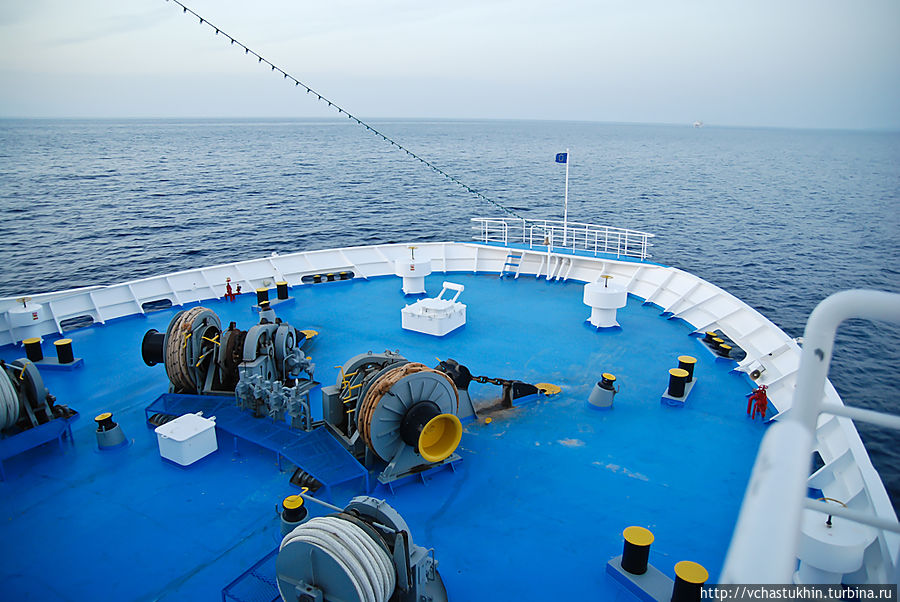 Корма. Корма.