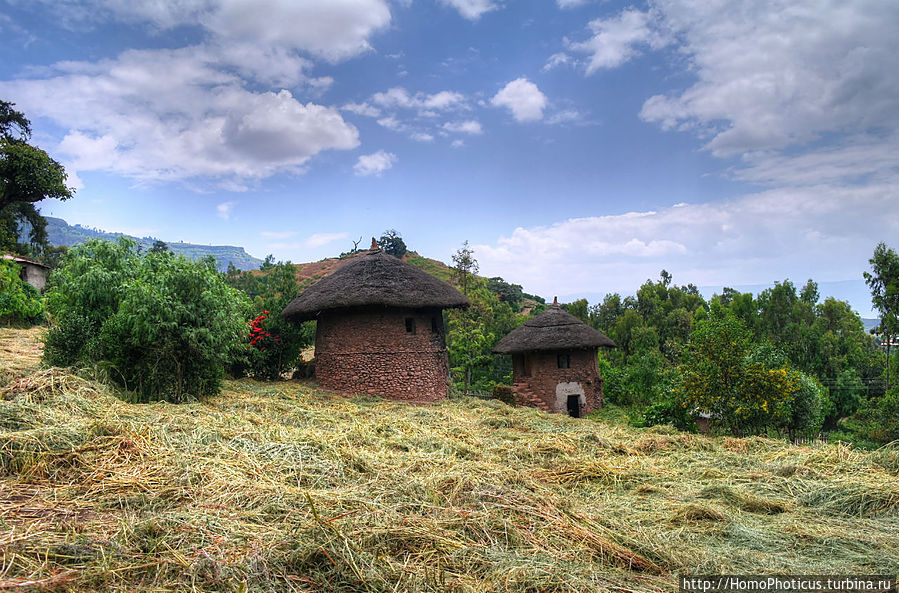 жилища аборигенов Сымен Национальный Парк, Эфиопия