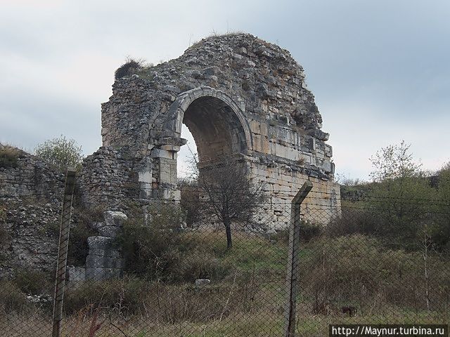 По дороге к руинам древнего Эфеса Сельчук, Турция