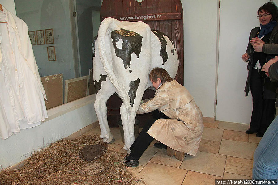 Молочная усадьба и молочный музей в Сиексате. Тренажер :-)
Здесь же можно и молочную ванну принять.
GPS: N56°41´26” E21°53´23” Латвия