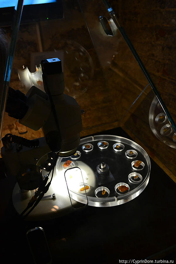 Музей янтаря в Старом городе Гданьск, Польша Музей янтаря в Старом городе Гданьск, Польша