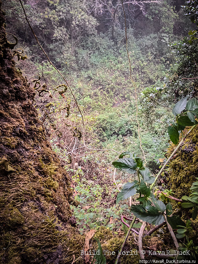Тот самый 50ти метровый обрыв... Нафото мало понятно, но поверьте — там высоко (фото с дерева :)) Алотенанго, Гватемала