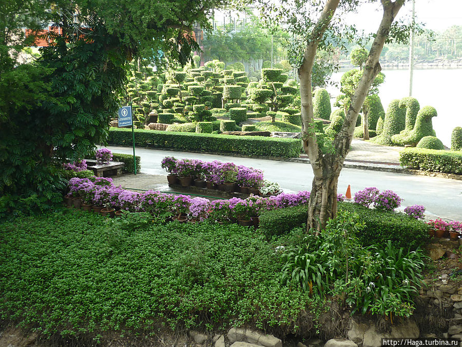 Тропический парк Нонг Нуч. Паттайя, Таиланд