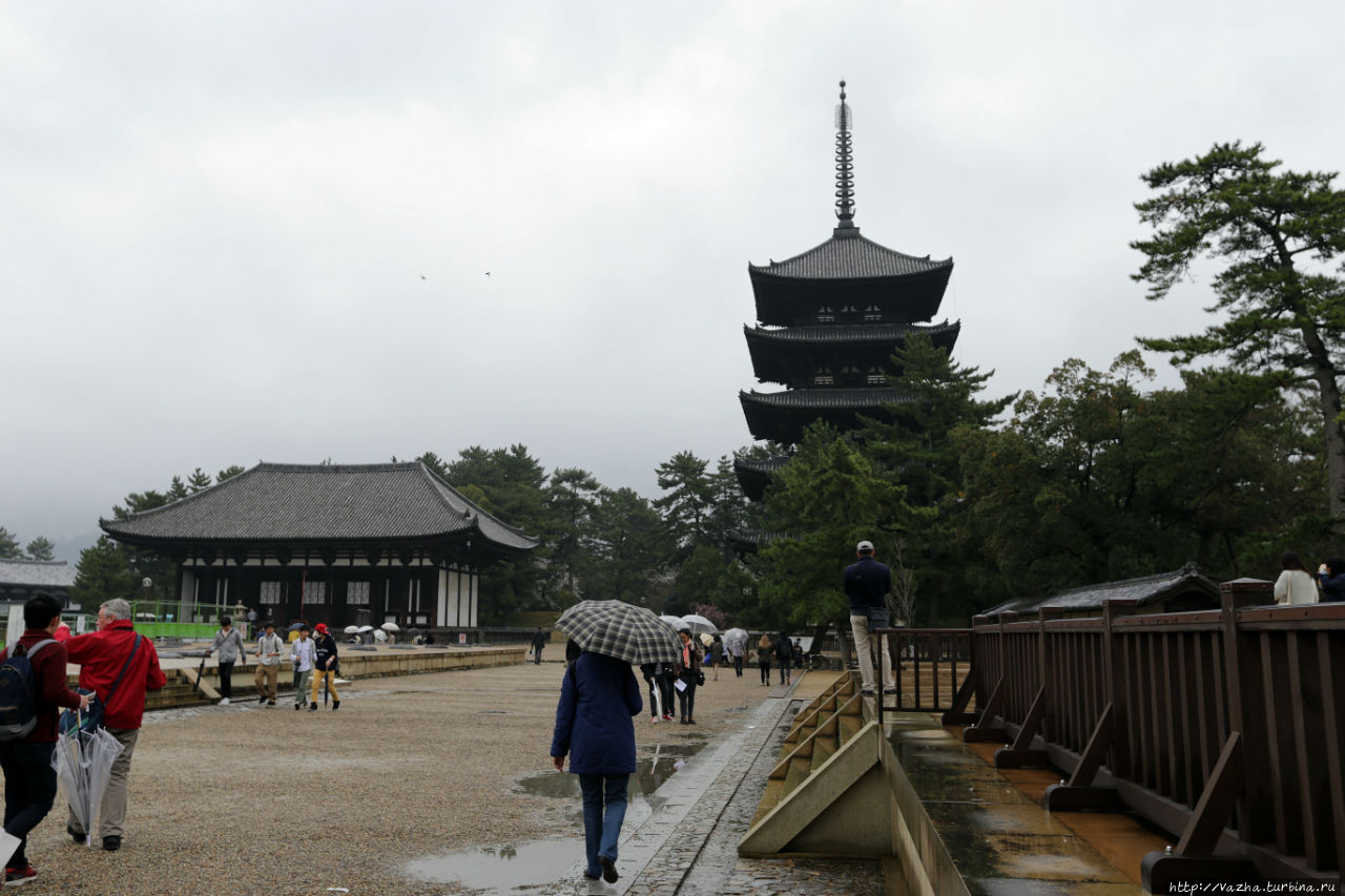 Храм Кофуку-дзи Нара, Япония