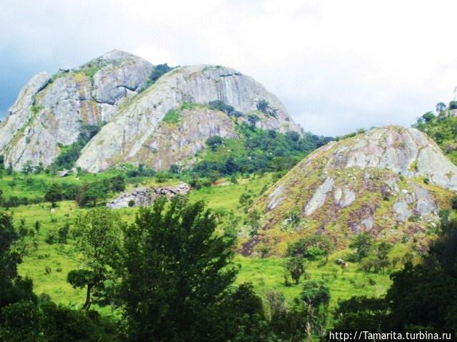 Африка без прикрас. Чёрный лес и чёрная курица Mzuzu, Малави