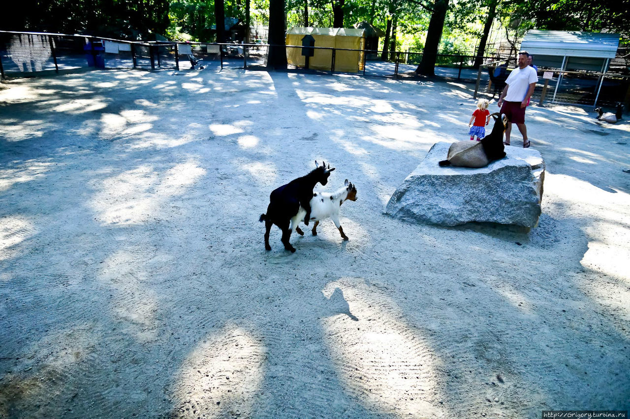 Зоопарк в SOUTHWICK, MA Саусвик, CША Зоопарк в SOUTHWICK, MA Саусвик, CША