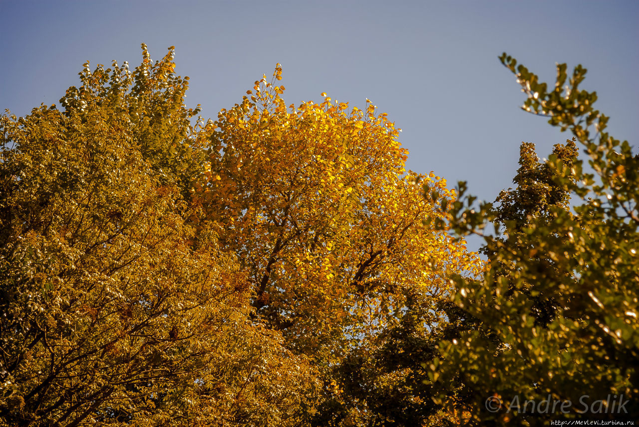 Прогулка в саду Хенералифе Альхамбра, Испания Прогулка в саду Хенералифе Альхамбра, Испания