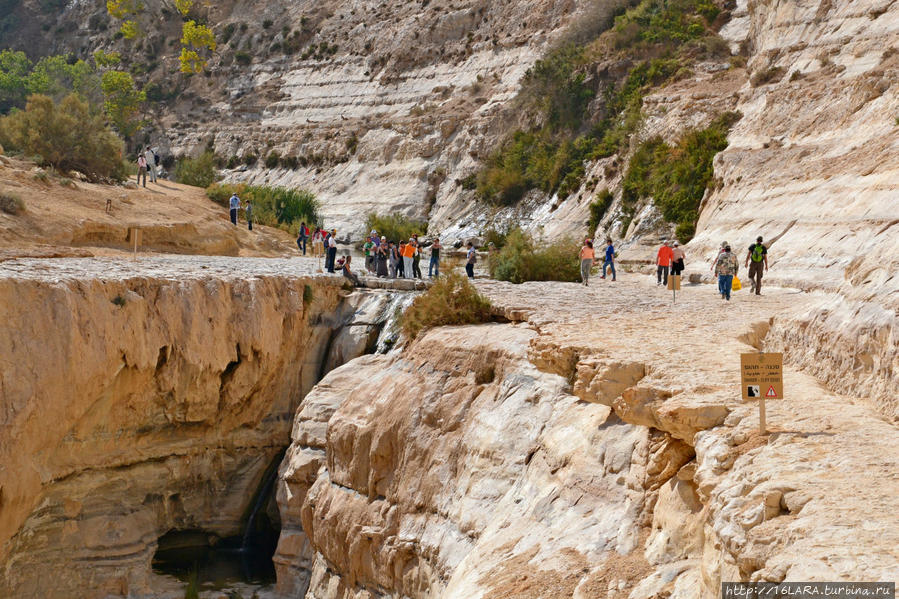 Прогулка по каньону Эйн-Авдат Эйн-Авдат Каньон, Израиль