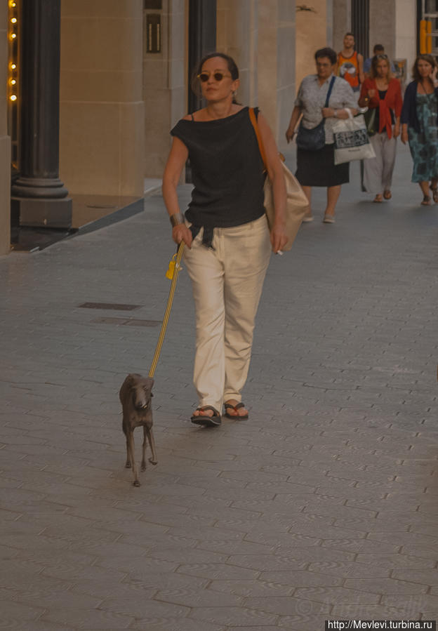 Летняя Барселона Барселона, Испания Летняя Барселона Барселона, Испания