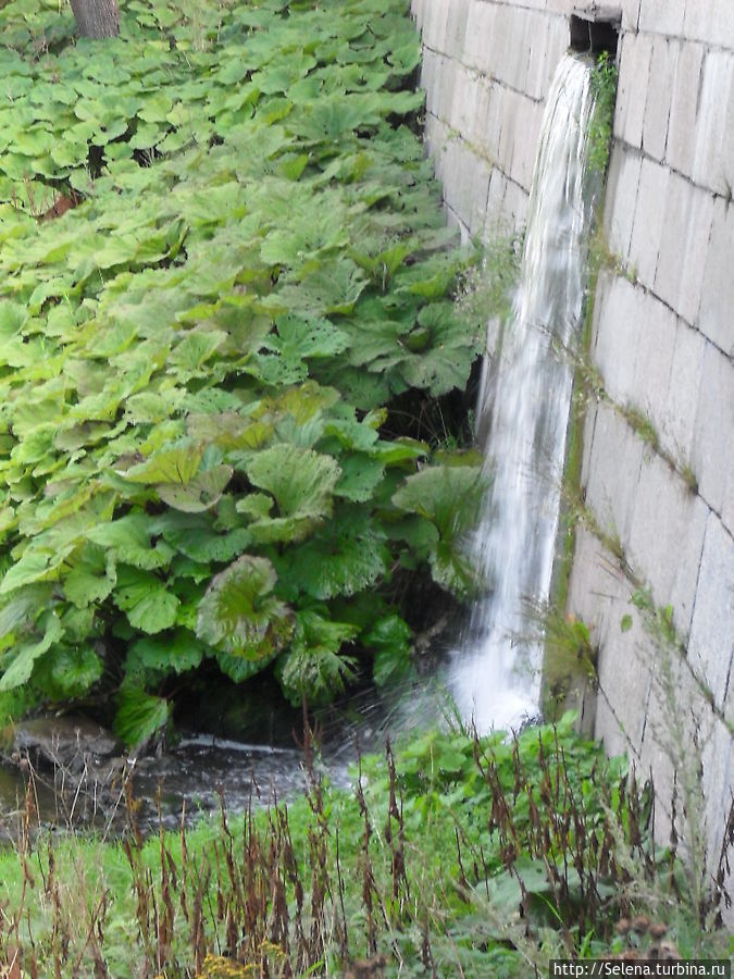 Осенняя прогулка по Пушкину Пушкин, Россия Осенняя прогулка по Пушкину Пушкин, Россия