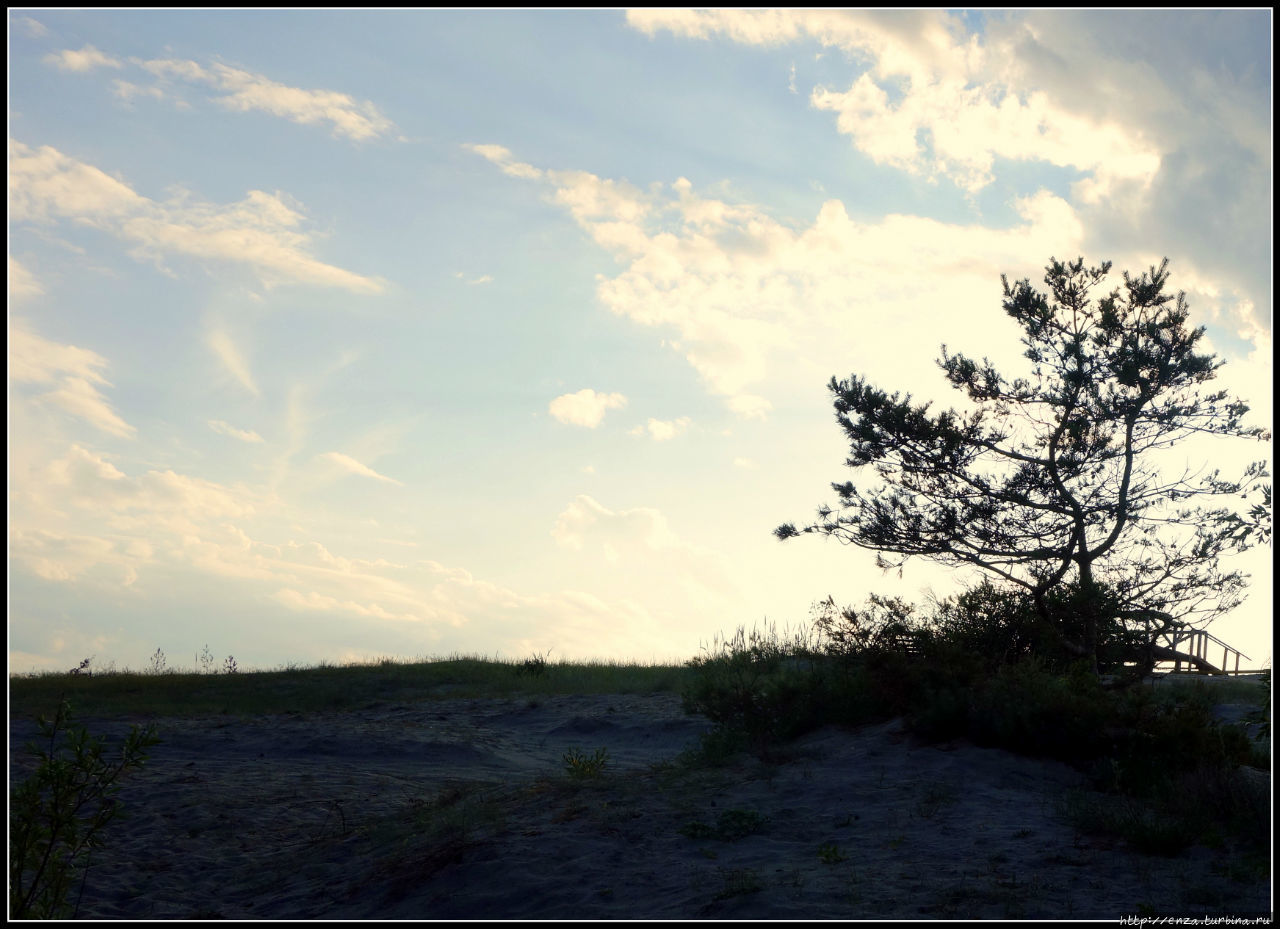 Пляжи Куршской косы Куршская Коса Национальный Парк, Россия
