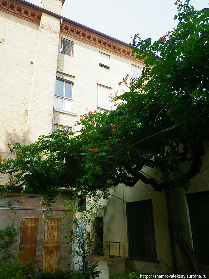 Феррара. Ботанический сад Феррара, Италия Феррара. Ботанический сад Феррара, Италия