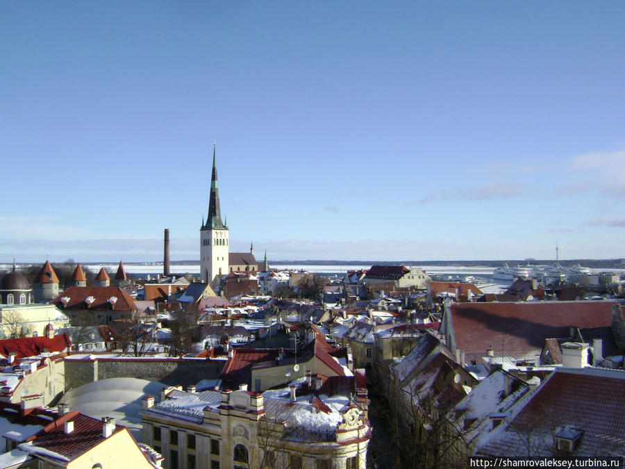 Смотровая площадка Кохтуотса Таллин, Эстония