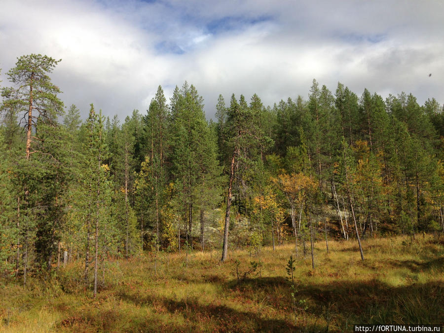 Сбор урожая на Мурмане Мурманская область, Россия Сбор урожая на Мурмане Мурманская область, Россия